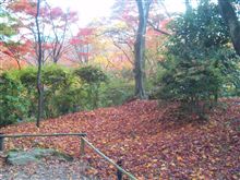 紅葉狩り