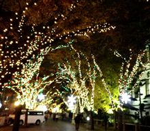 今年も点燈 今年も点燈