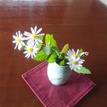 野に咲く花を