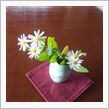 野に咲く花を
