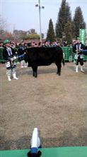 松阪牛まつり 