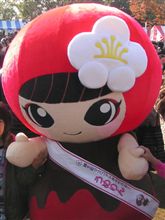 美人を激写してみる