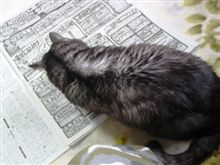 新聞くらい読ませろ。