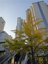 京都探訪の旅~2010年秋 京都探訪の旅~2010年秋