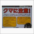 聖地より愛をこめて。