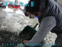 エンタメ走行会フェローズ見学♪ エンタメ走行会フェローズ見学♪