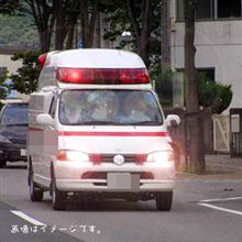 カウント約31 カウント約31