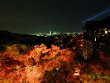たまにはのんびりと たまにはのんびりと