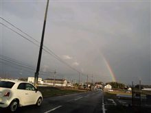 雨もたまには良いなぁ☆