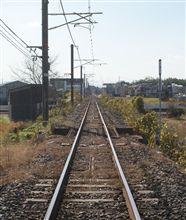 桜井線　撮鉄