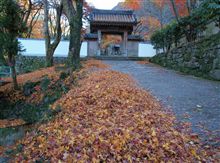 散り果ての紅葉