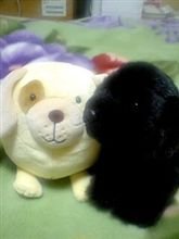 歩み始めるということ。