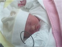 家族増えました。 家族増えました。