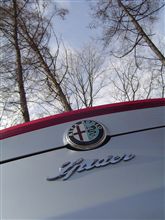 愛車グランプリ2010 Alfa Spider