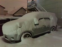 大雪じゃー！
