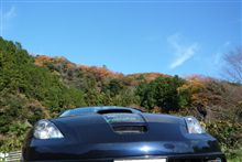 紅葉見学ツアー(*&#180;ω｀)r