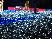 相模湖イルミリオン