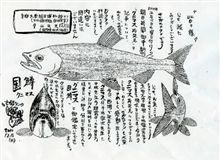 スゴイぞ”さかな”クン