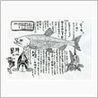 スゴイぞ”さかな”クン
