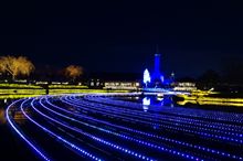 ウインターイルミネーション ウインターイルミネーション