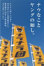 ノボリフェア開催決定ー♪
