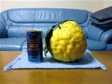 冬至と忘年会