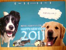 来年は･････