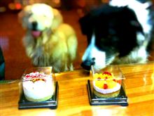 CAKE　for　だめんず(^^;)････