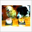 CAKE　for　だめんず(^^;)････