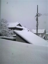 クリスマスは雪でしたね