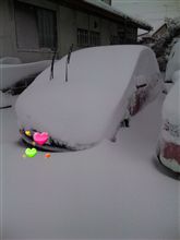 スゲー雪w