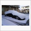 こんもり