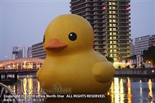 念願の“ご対面”