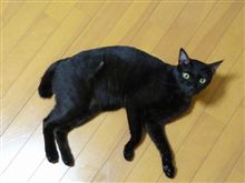年に１度の。
