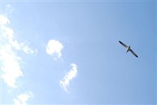今年、印象的だったニュース。