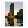 ジタバタする年末（＾◇＾；）