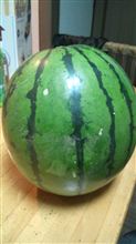 季節外れの夏の風物詩