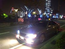 生存報告♪ 生存報告♪