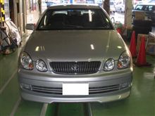 2号さん延命処置 2号さん延命処置