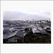 今年の年末もやっぱり忙しく。 ...