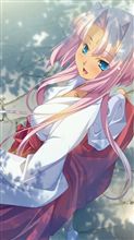 明日の予定! 明日の予定!