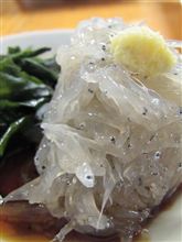 今日のディナーその２は、高知「ひろめ市場」生しらす