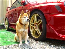 ありがとぅ☆2010
