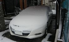 ２０１０年・・・そして２０１１年