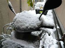 雪ですなぁ〜 雪ですなぁ〜