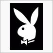 Bunny ’s　Year  ...