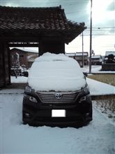 謹賀新年 2011