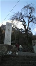 新年早々放浪癖がでました(・∀・)