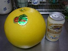 実家巡りより帰着（＾＾