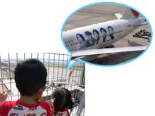 JAL 嵐JET